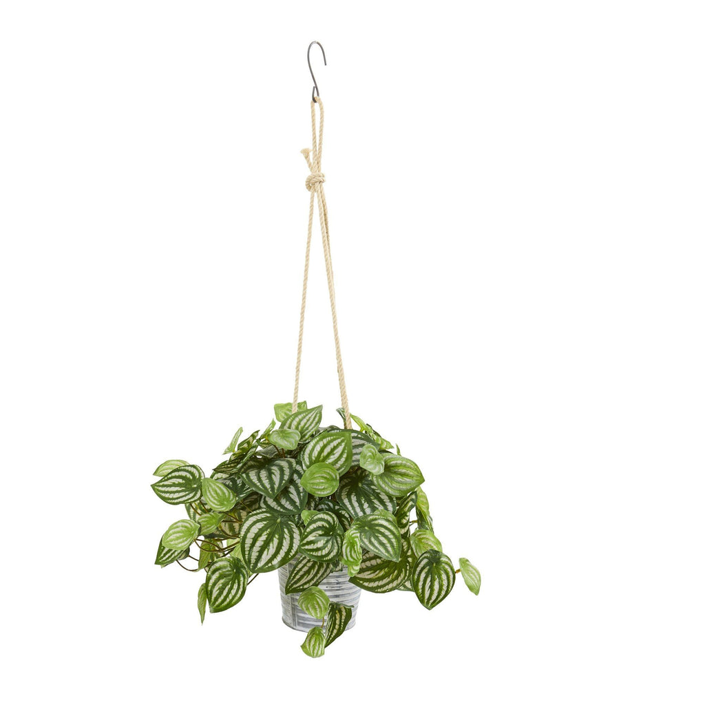 26” Watermelon Peperomia and Fern Artificial Plant in Hanging Bucket (Set of 2)