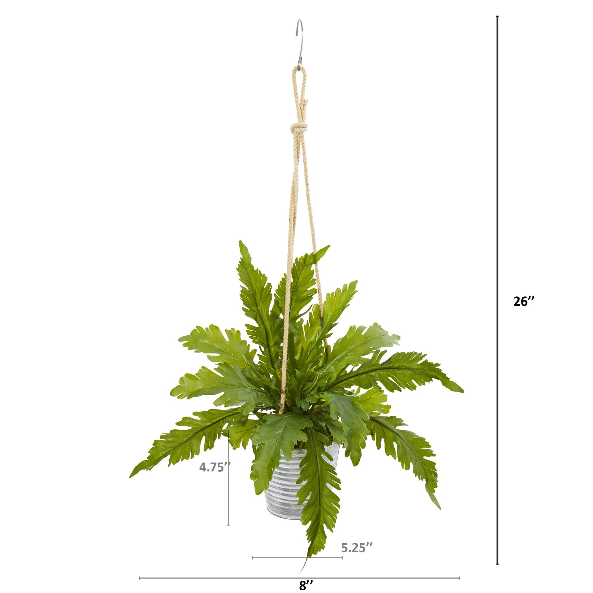 26” Watermelon Peperomia and Fern Artificial Plant in Hanging Bucket (Set of 2)