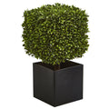 27” Boxwood Artificial Plant in Black Planter (indoor/Outdoor)