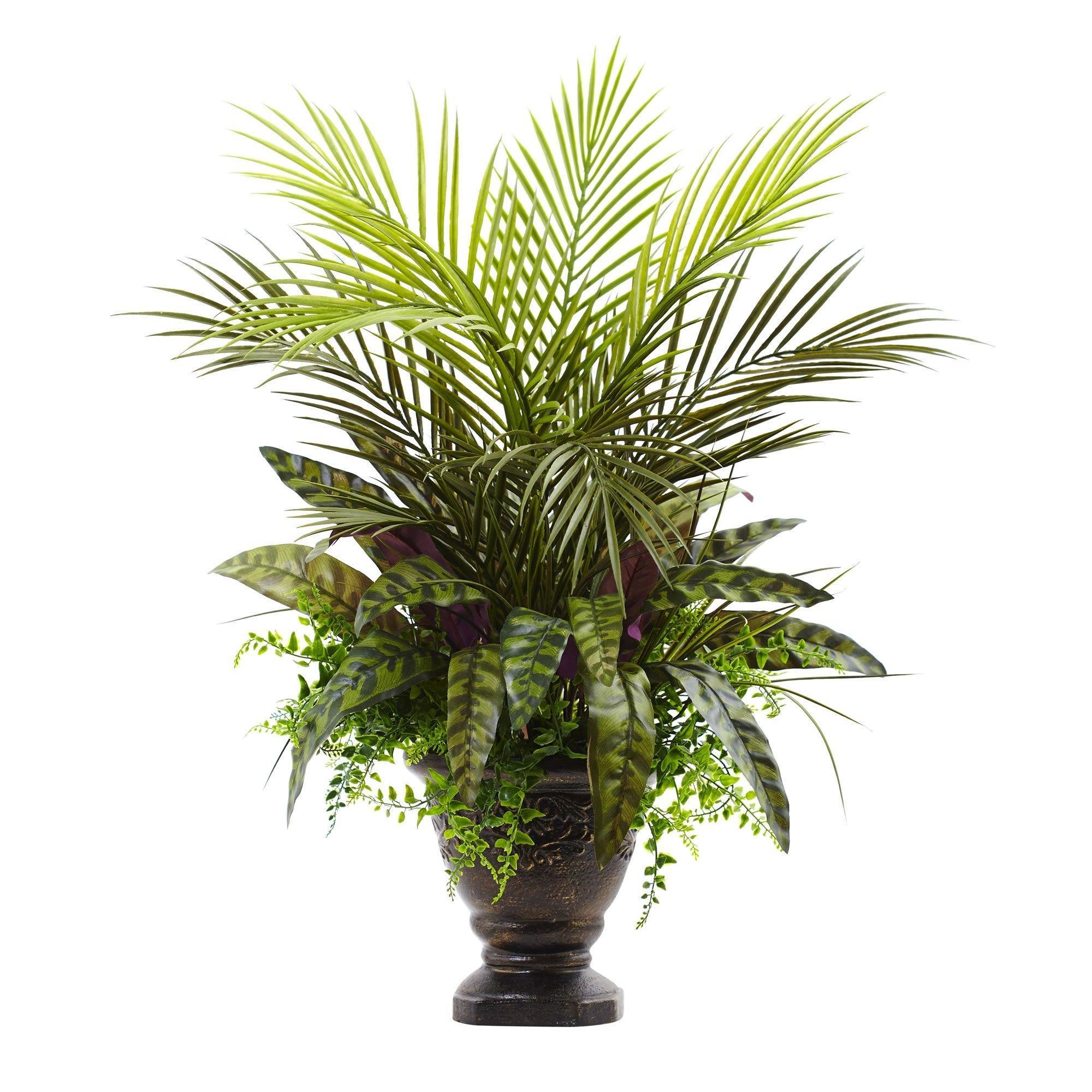 27” Mixed Areca Palm, Fern & Peacock w/Planter