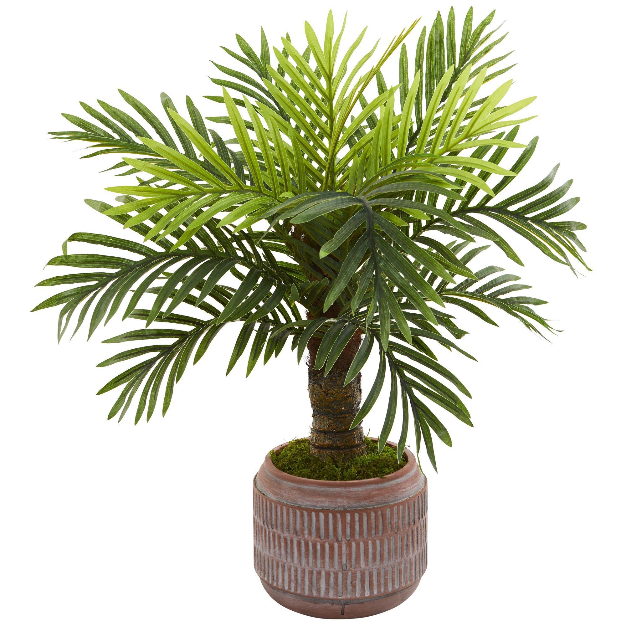 27” Robellini Palm Artificial Tree in Stoneware Planter