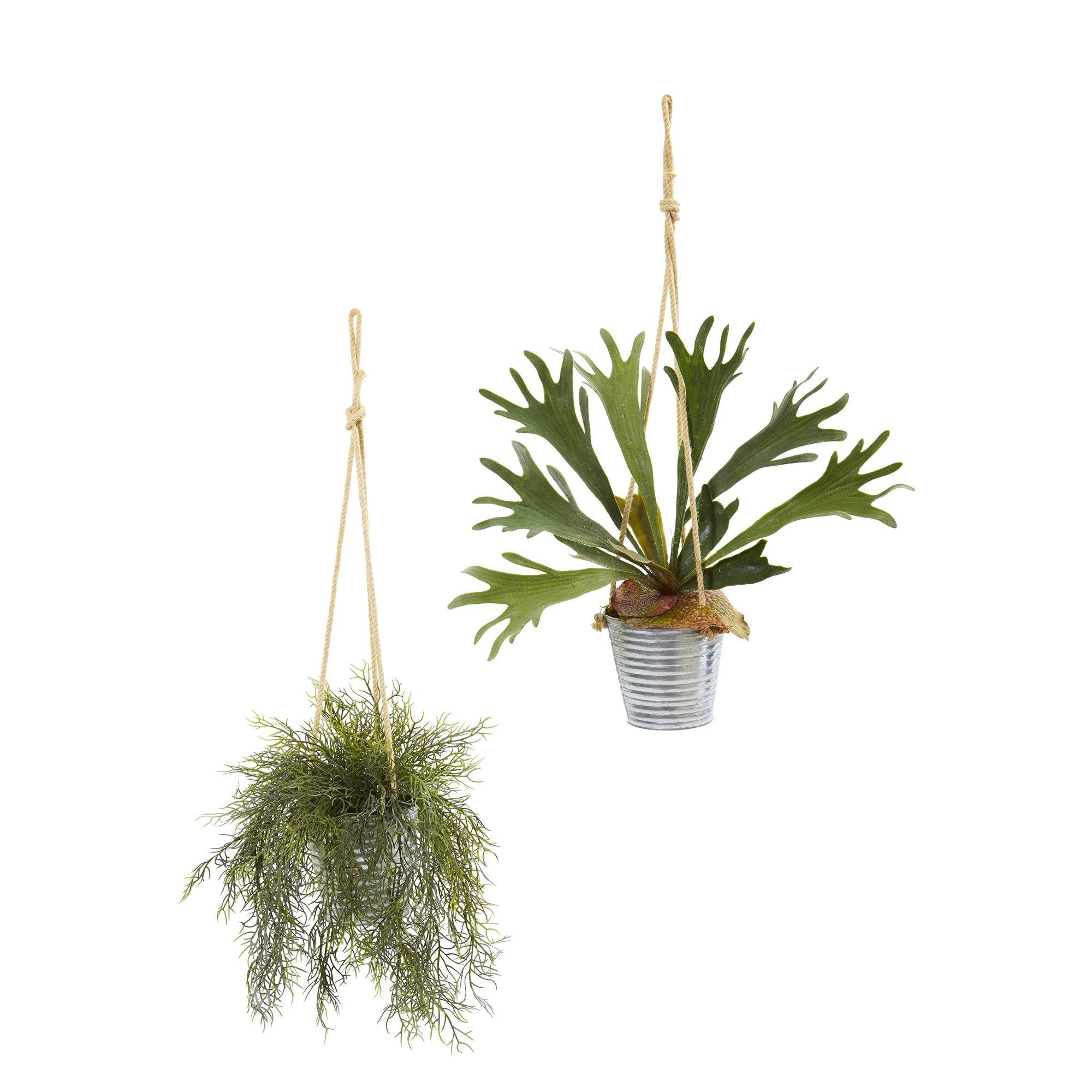 27” Tillandsia Moss and Staghorn Artificial Plant in Hanging Bucket (Set of 2)