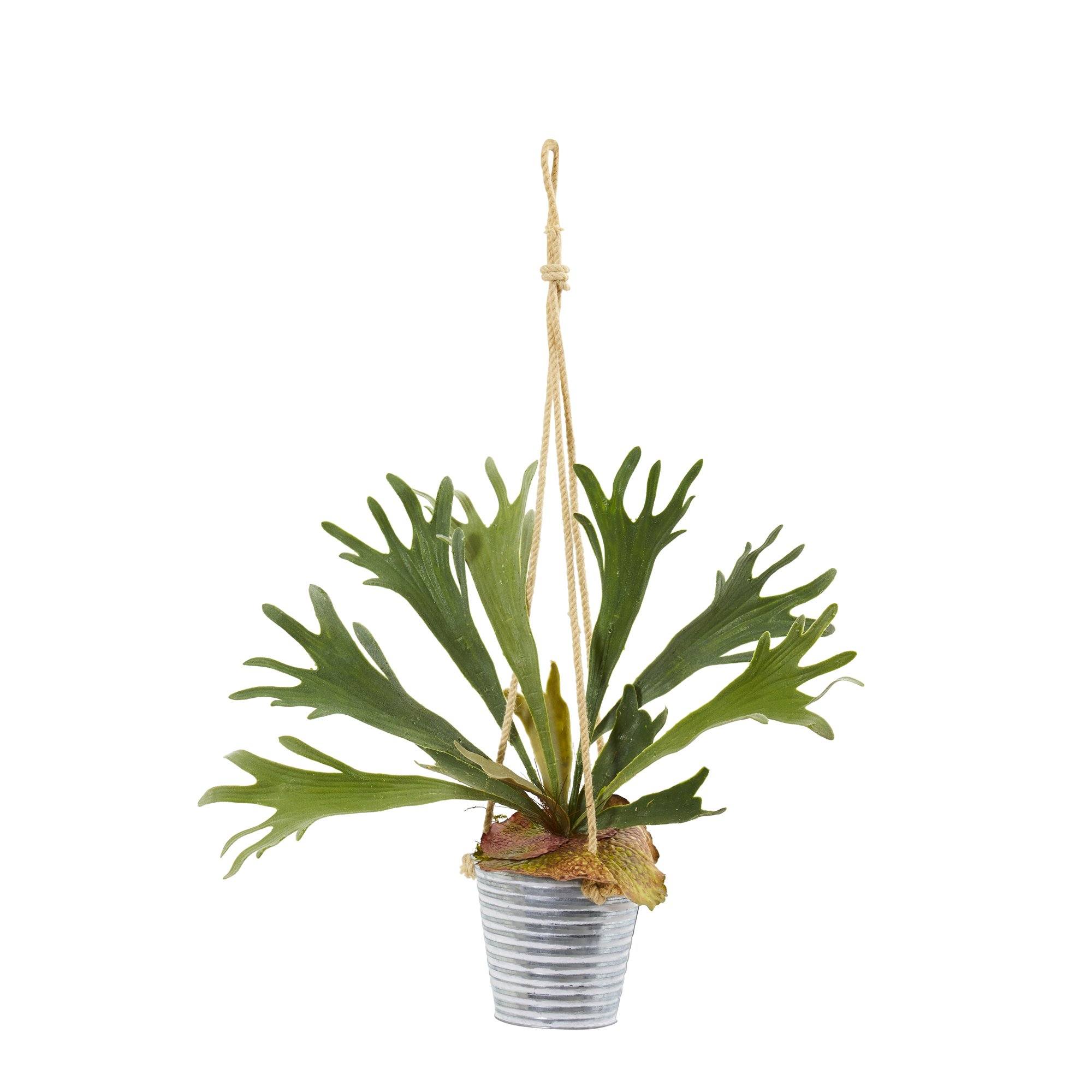 27” Tillandsia Moss and Staghorn Artificial Plant in Hanging Bucket (Set of 2)