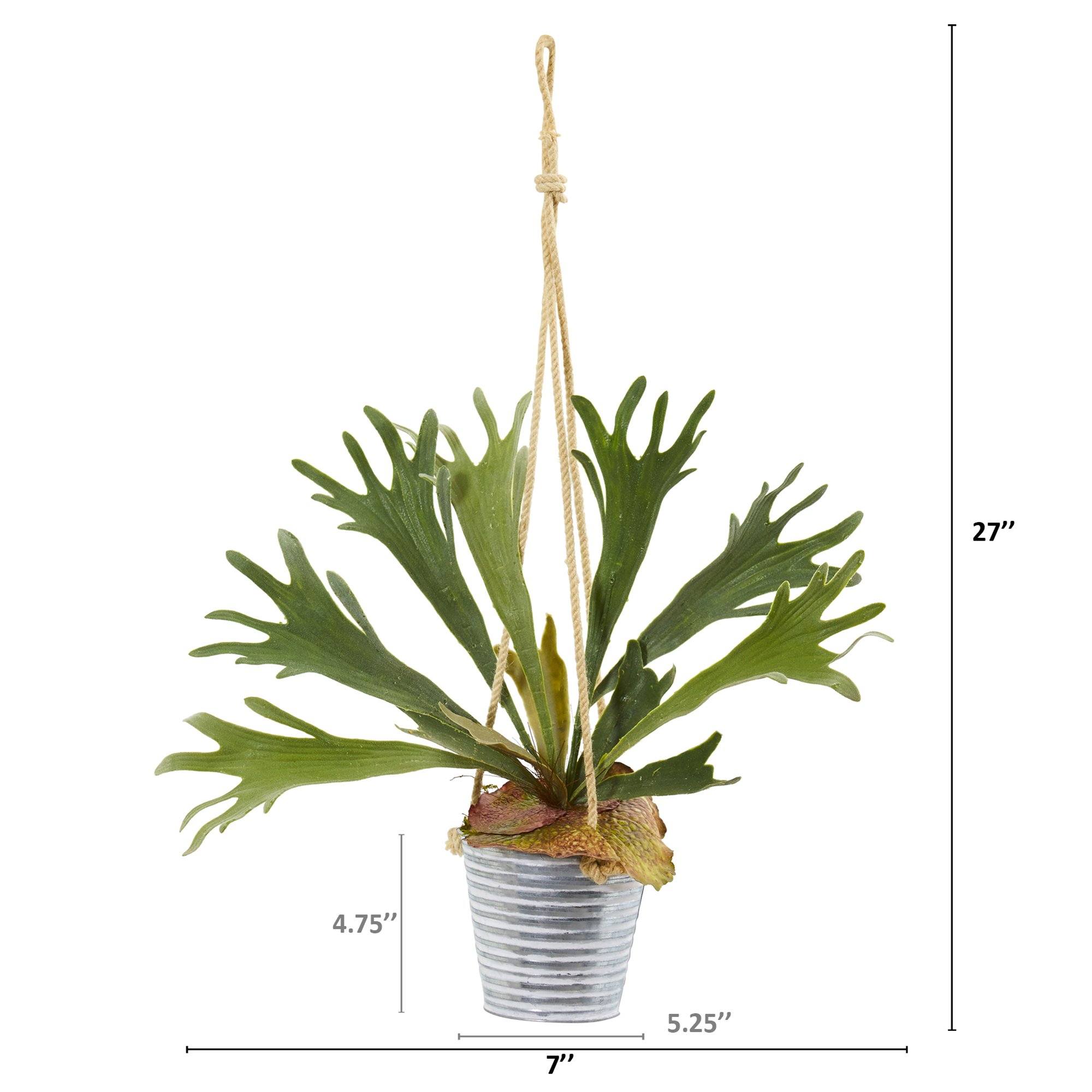 27” Tillandsia Moss and Staghorn Artificial Plant in Hanging Bucket (Set of 2)