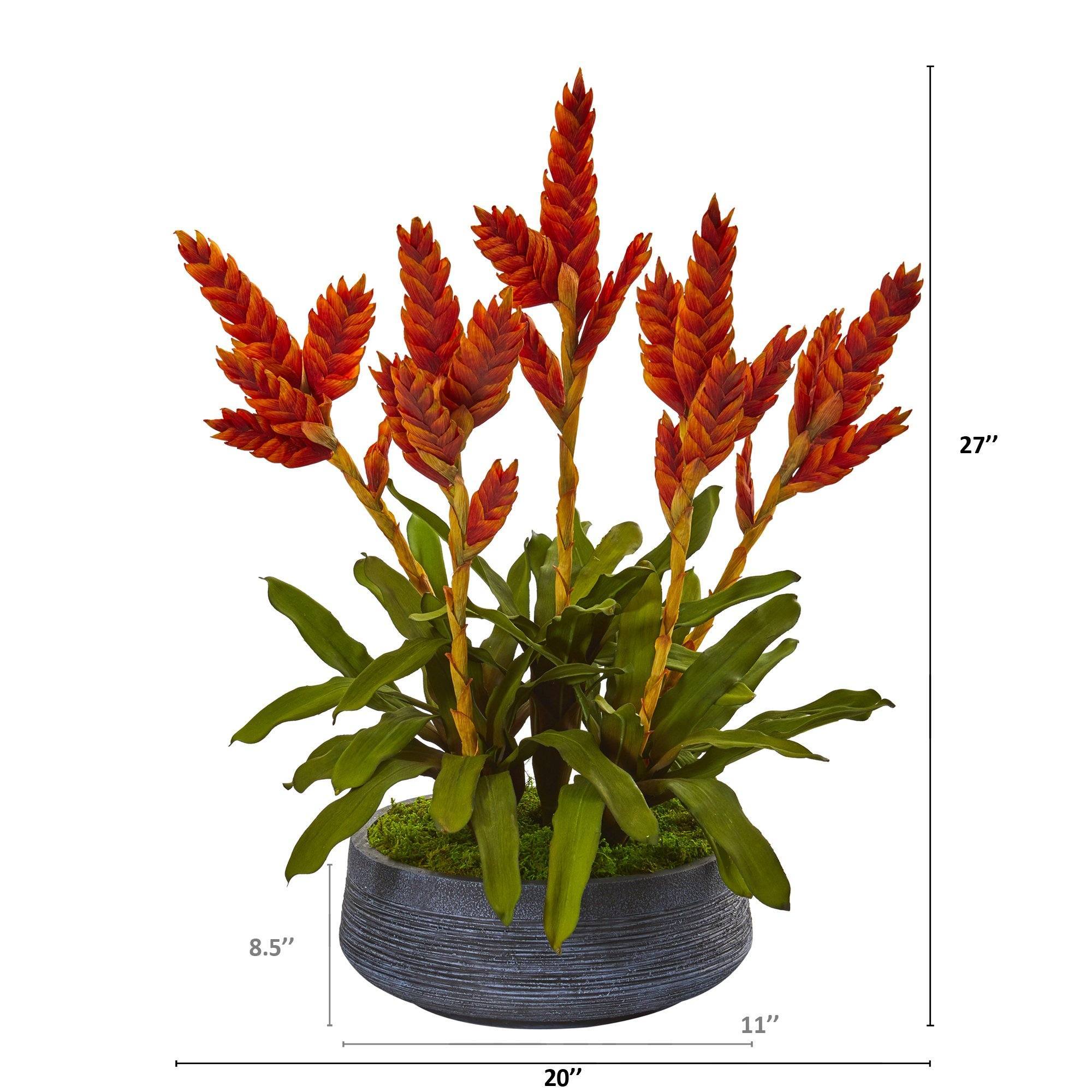 27” Tropical Bromeliad Artificial Plant in Decorative Bowl