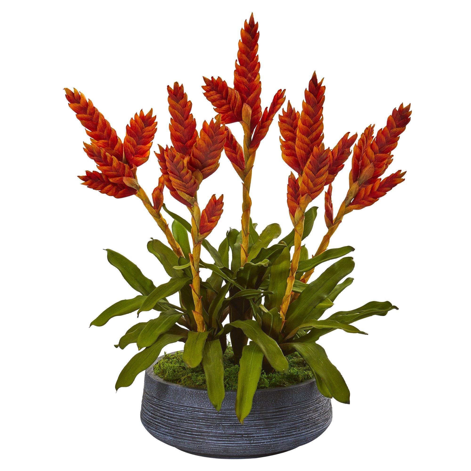 27” Tropical Bromeliad Artificial Plant in Decorative Bowl