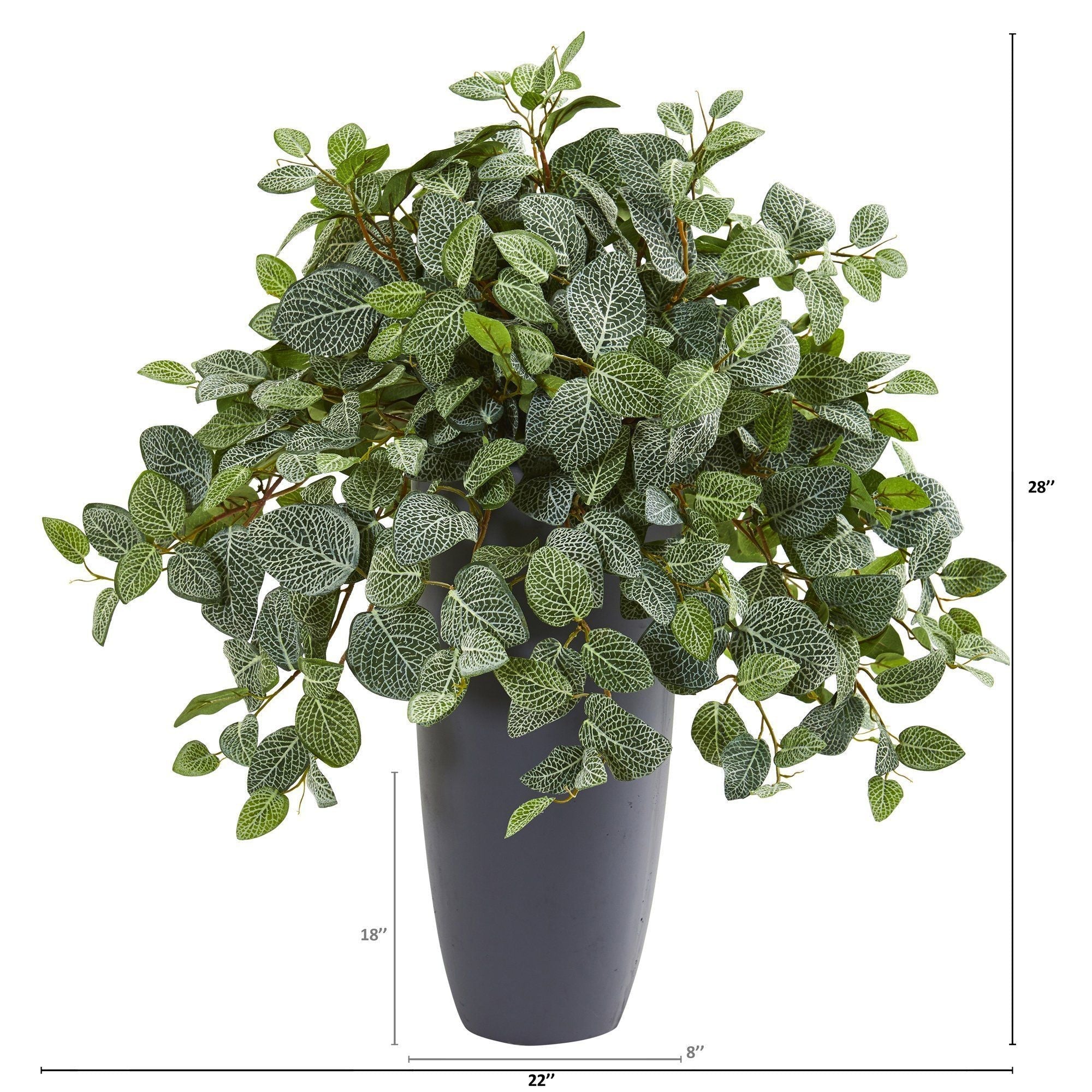 28” Fittonia Artificial Plant in Gray Planter (Real Touch)