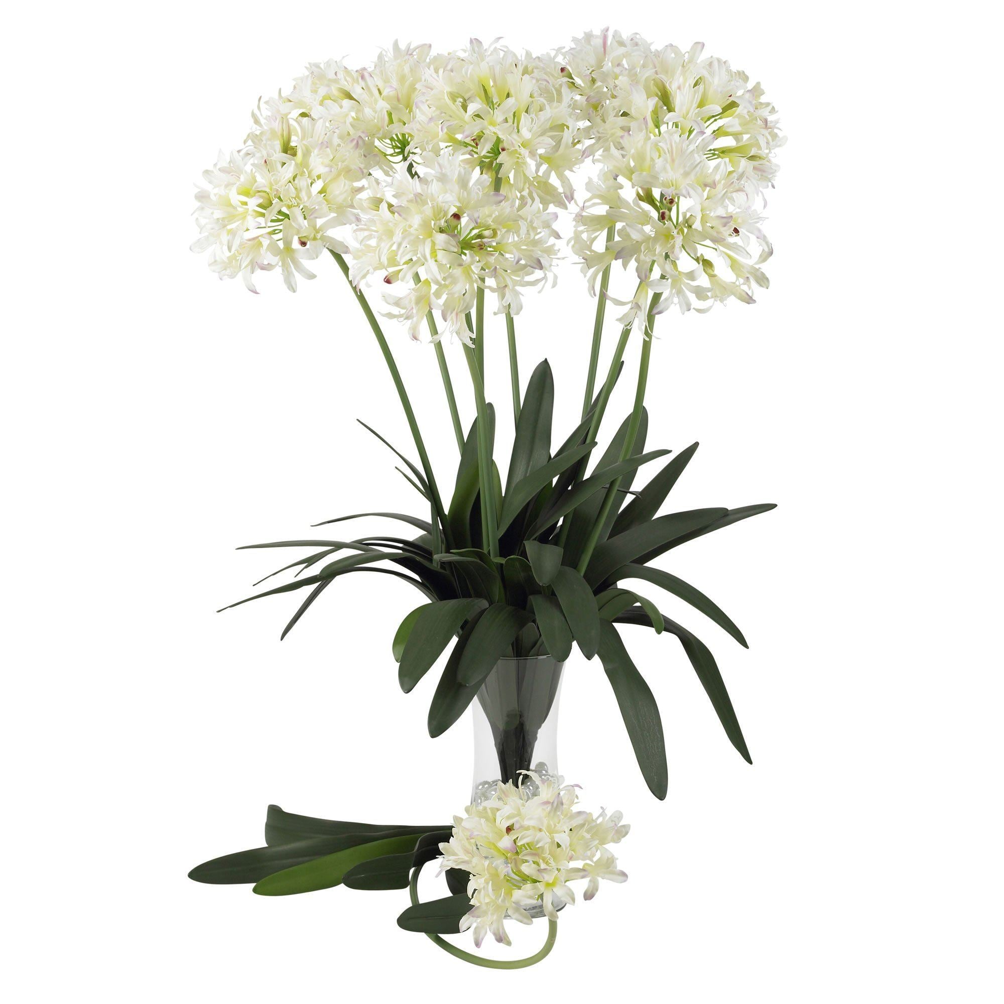 29" African Lily Stem (Set of 12)"