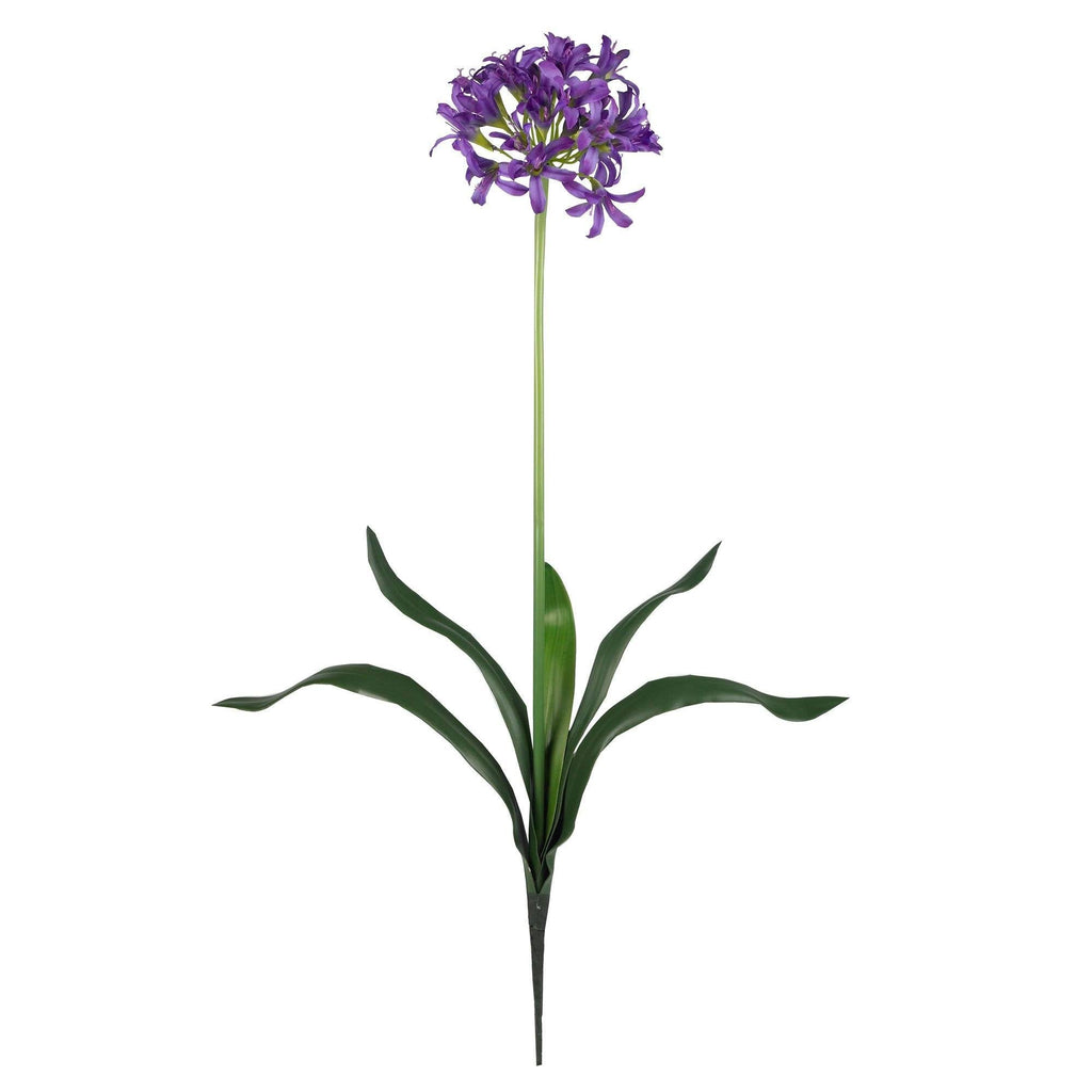 29" African Lily Stem (Set of 12)"