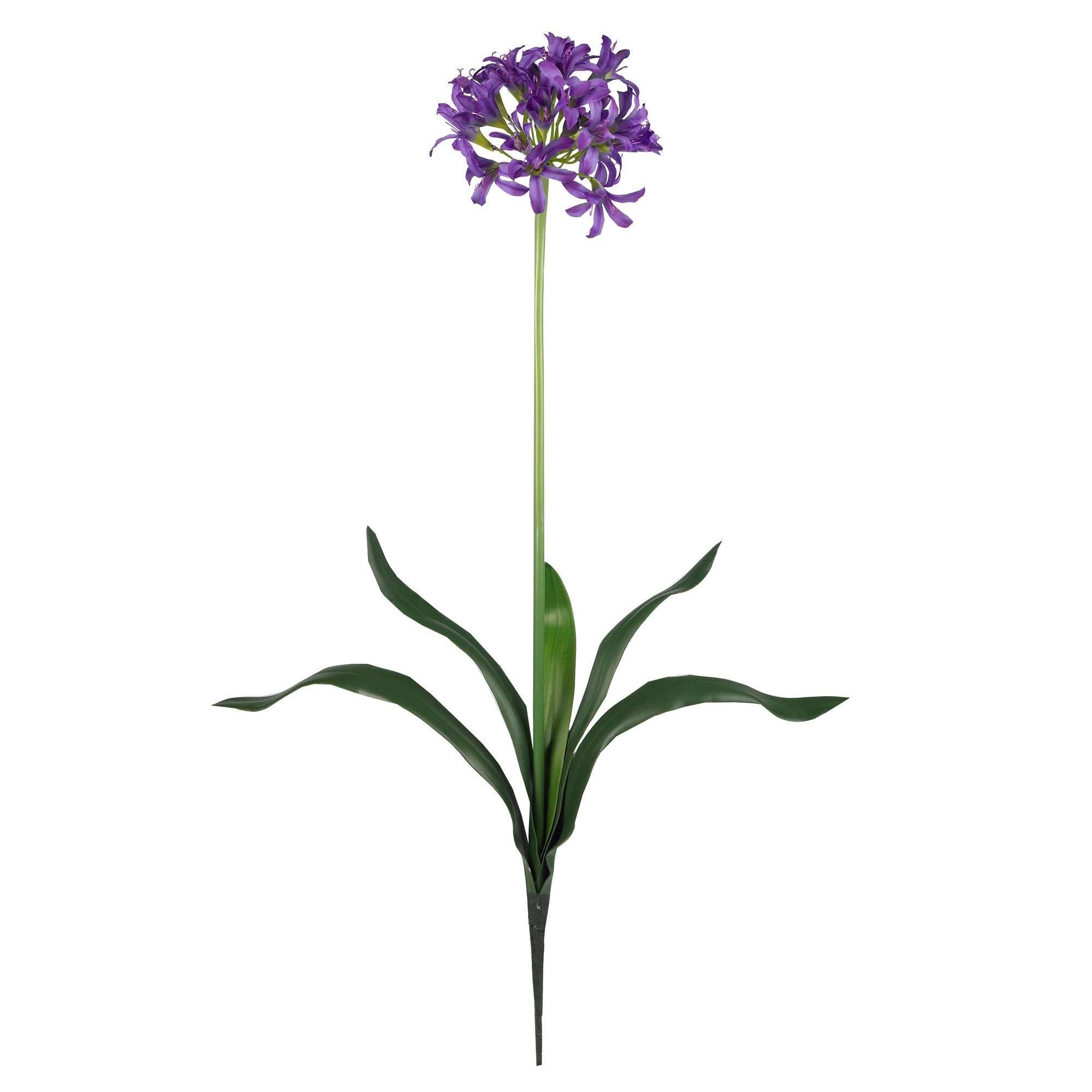 29" African Lily Stem (Set of 12)"
