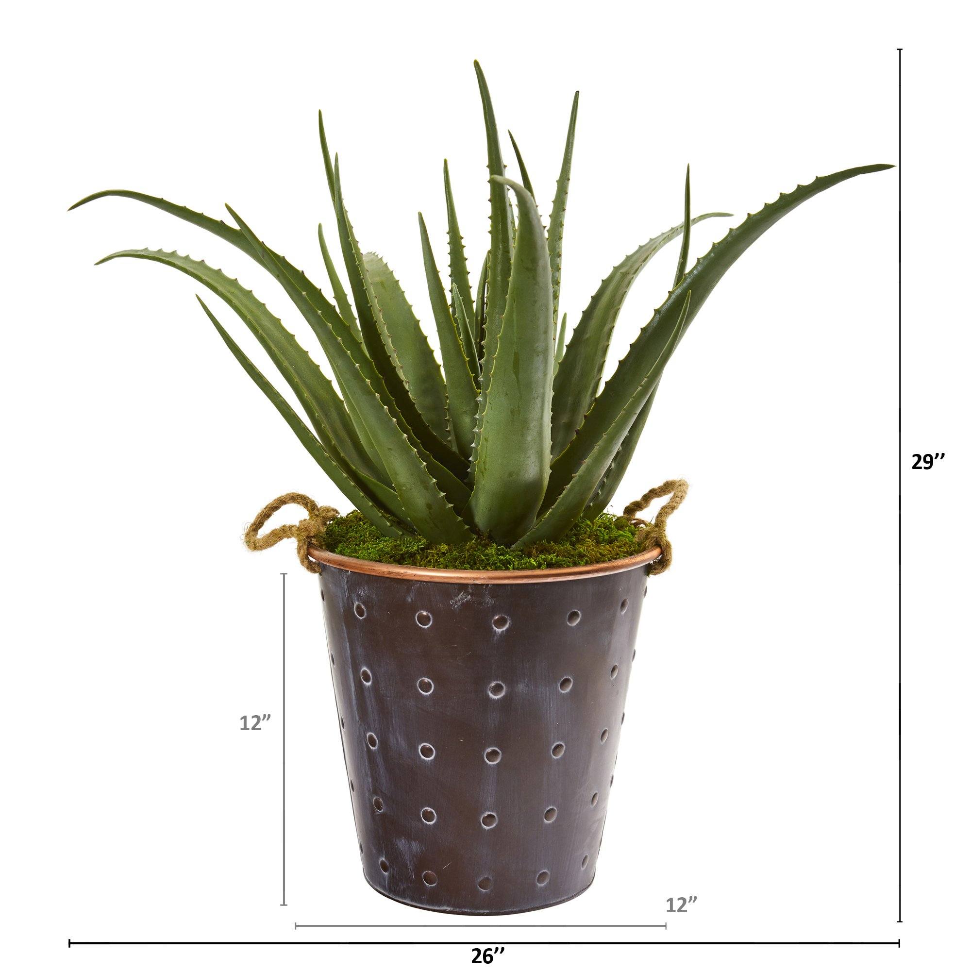 29” Aloe Artificial Plant in Decorative Pail with Rope