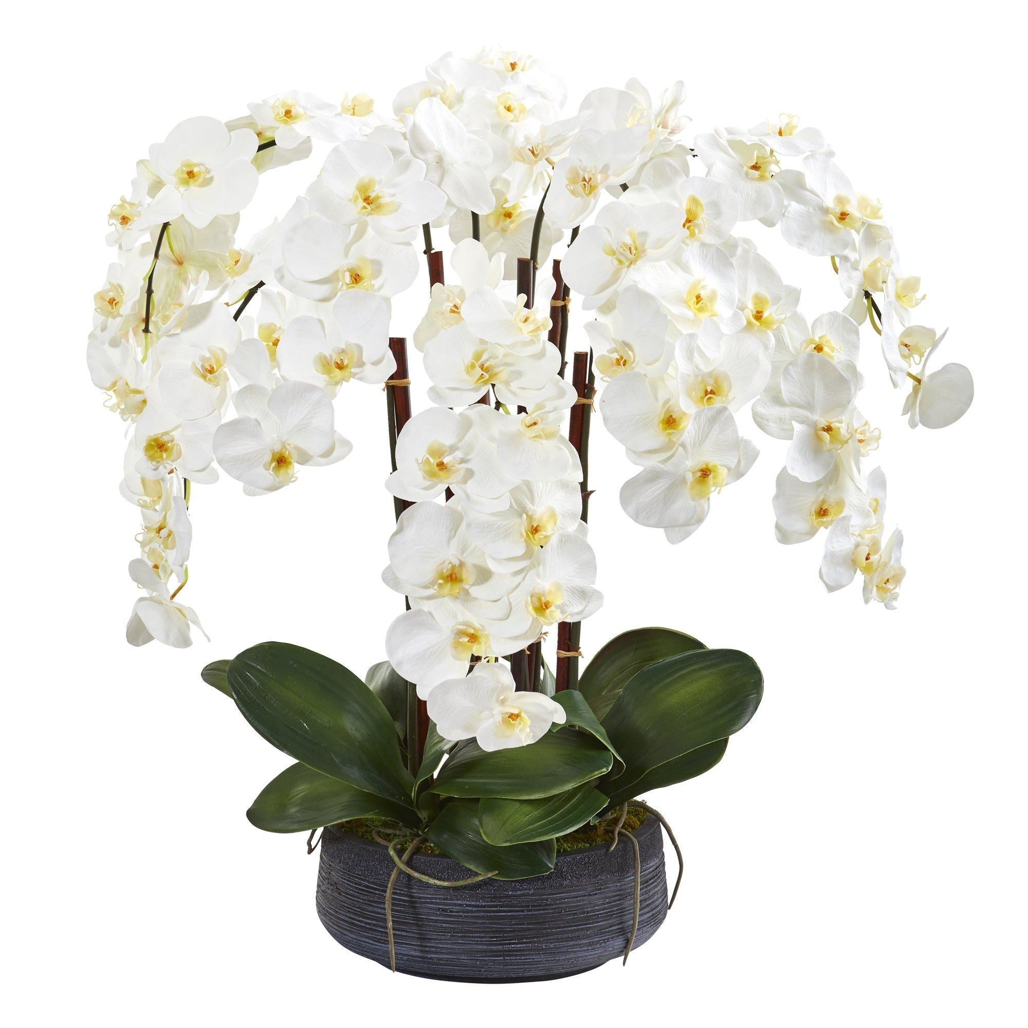 29” Phalaenopsis Orchid Artificial Arrangement in Decorative Bowl