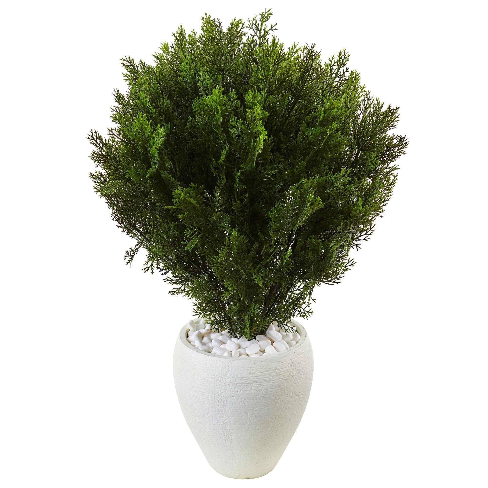 3’ Cedar in Oval Textured Planter (Indoor/Outdoor)