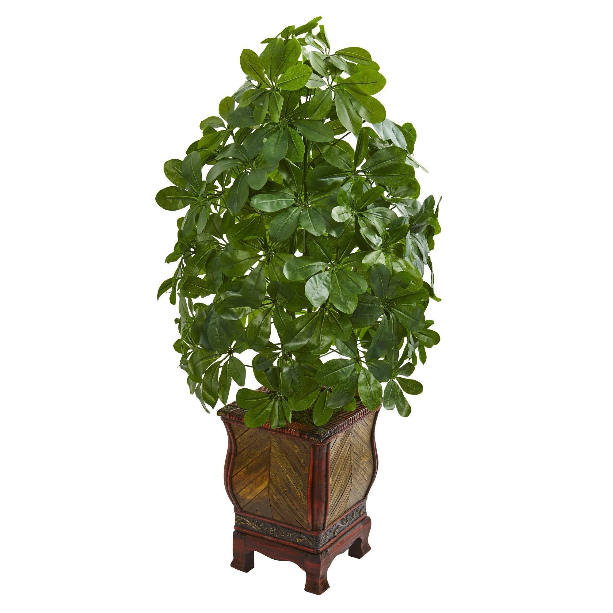 3' Schefflera Artificial Plant in Decorative Planter (Real Touch)