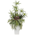 3’ Staghorn, Succulent and Cyperus Artificial Plant in White Planter