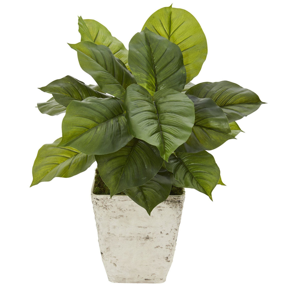 30” Large Philodendron Artificial Plant in Country White Planter (Real Touch)