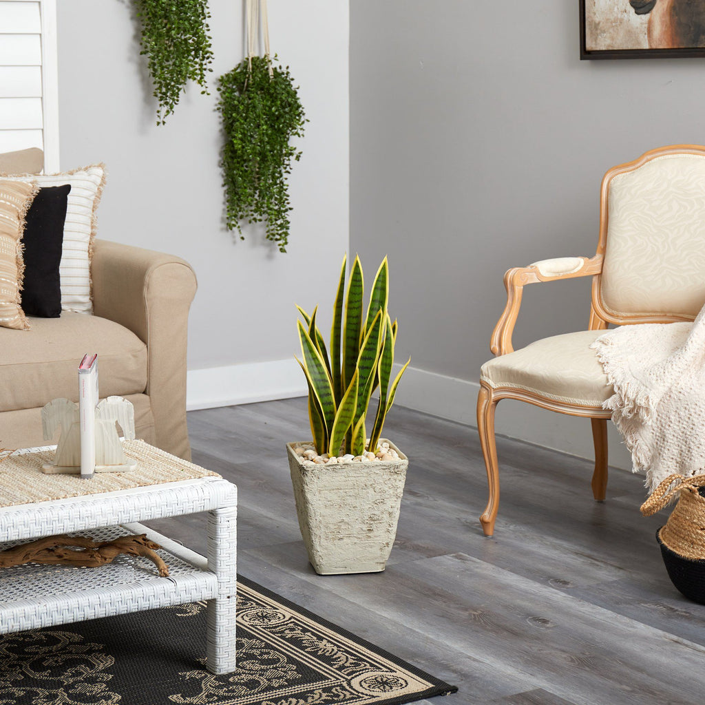 30” Sansevieria Artificial Plant in Country White Planter