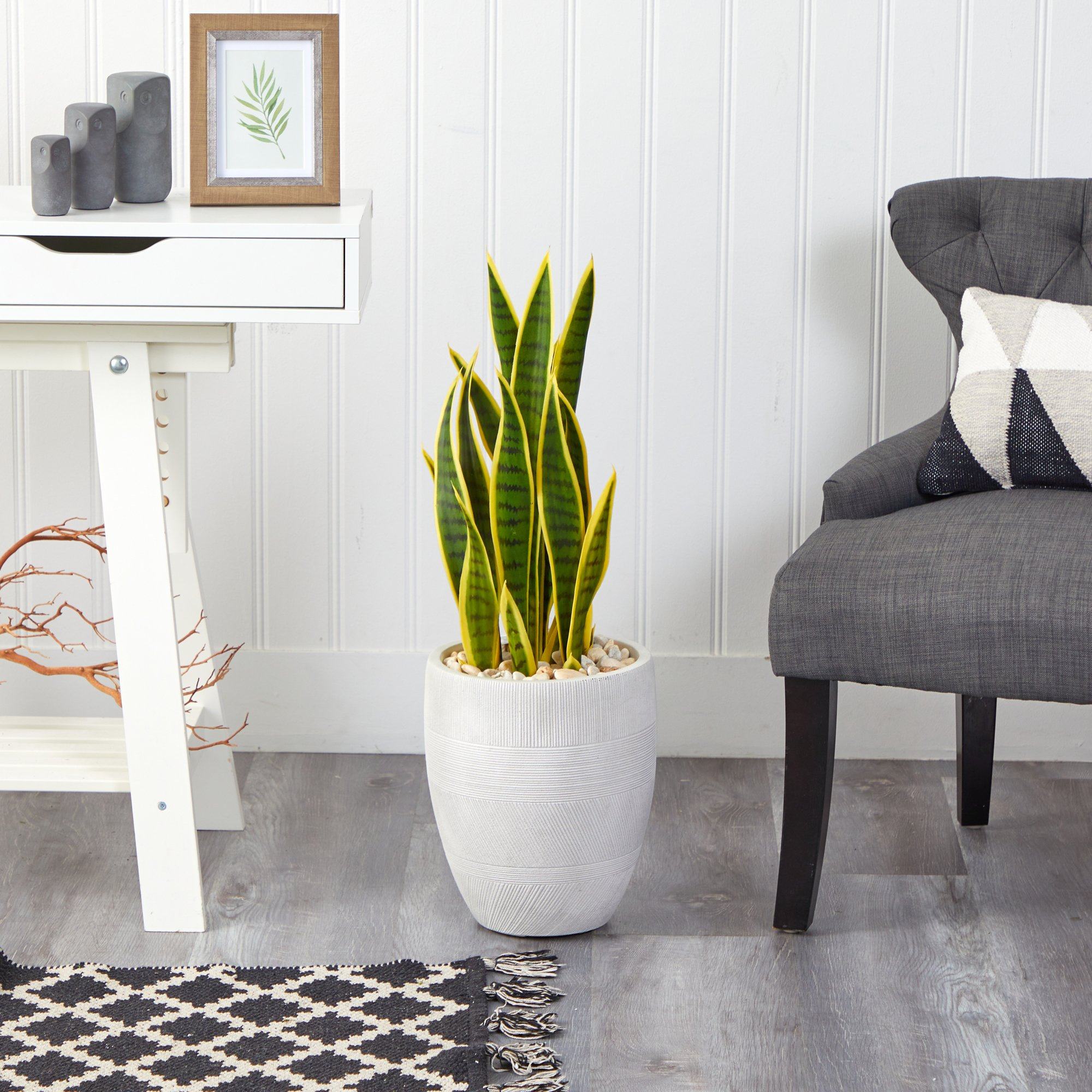 30” Sansevieria Artificial Plant in White Planter
