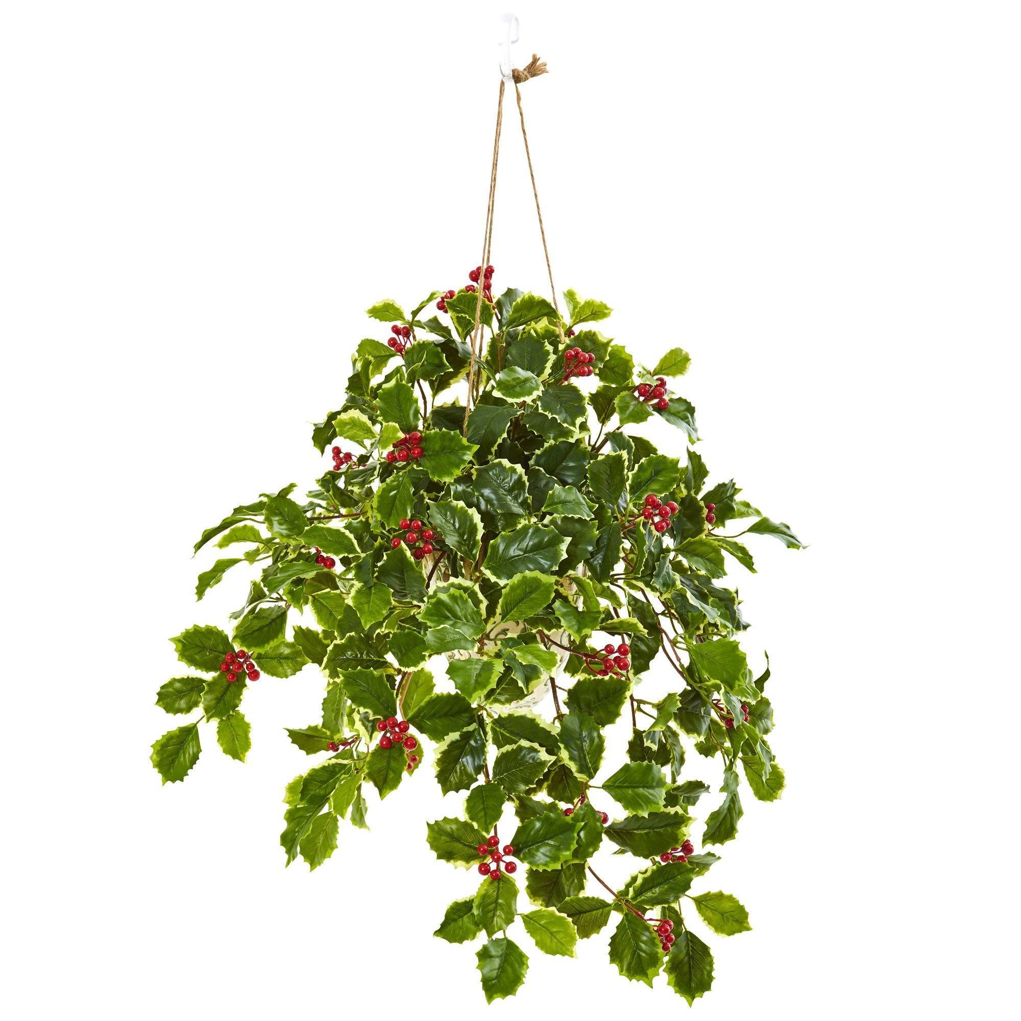 30” Variegated Holly Berry Artificial Plant in Hanging Vase (Real Touch)