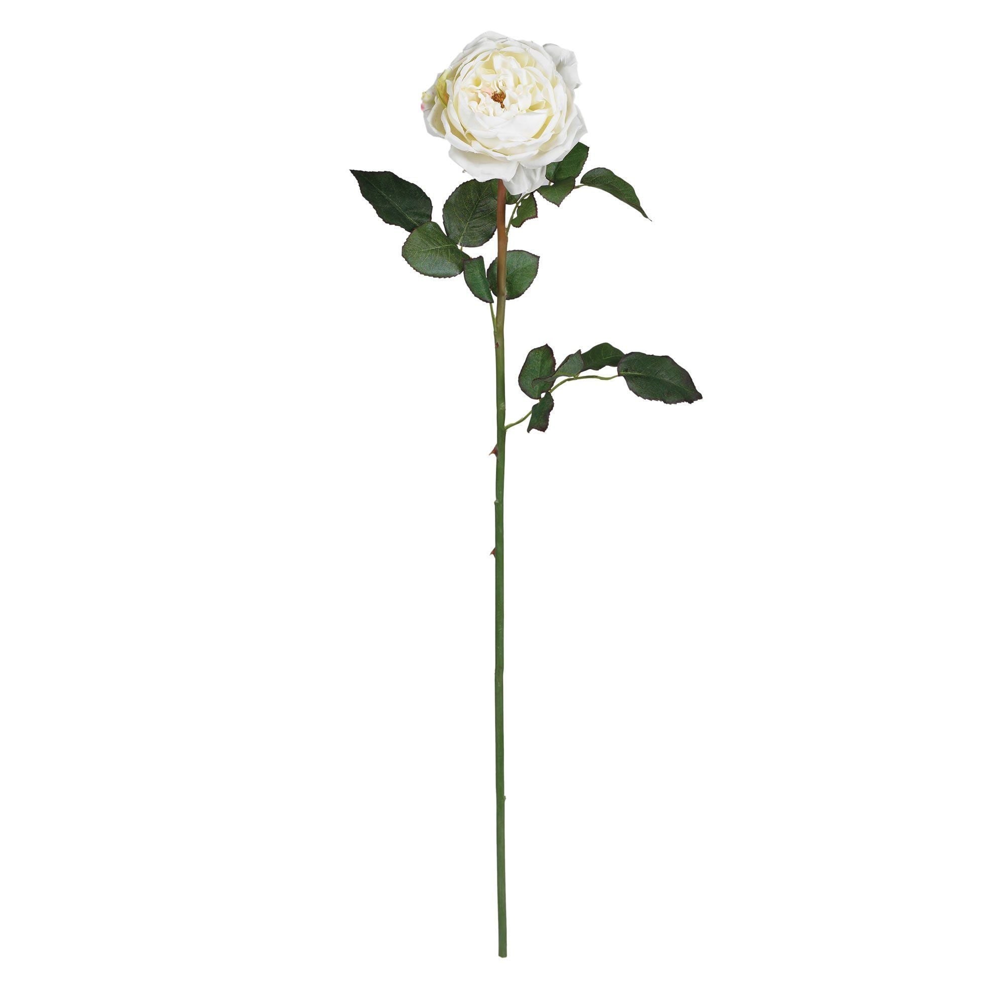 31" Large Rose Stem (Set of 12)"