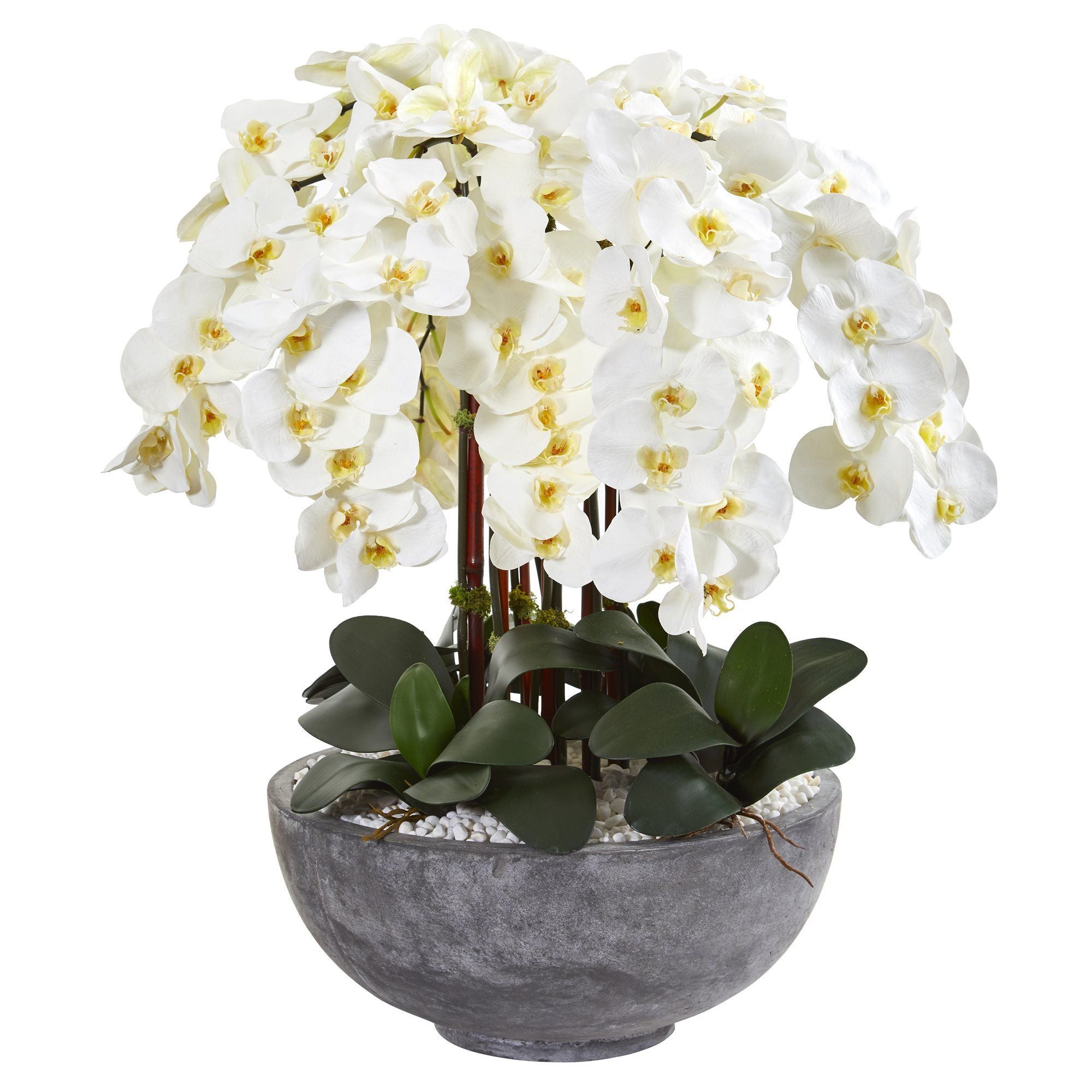 33” Phalaenopsis Orchid Artificial Arrangement in Large Cement Bowl
