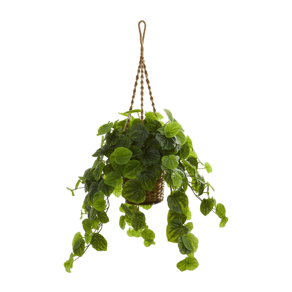 34” Peperomia Artificial Plant in Hanging Basket (Real Touch)