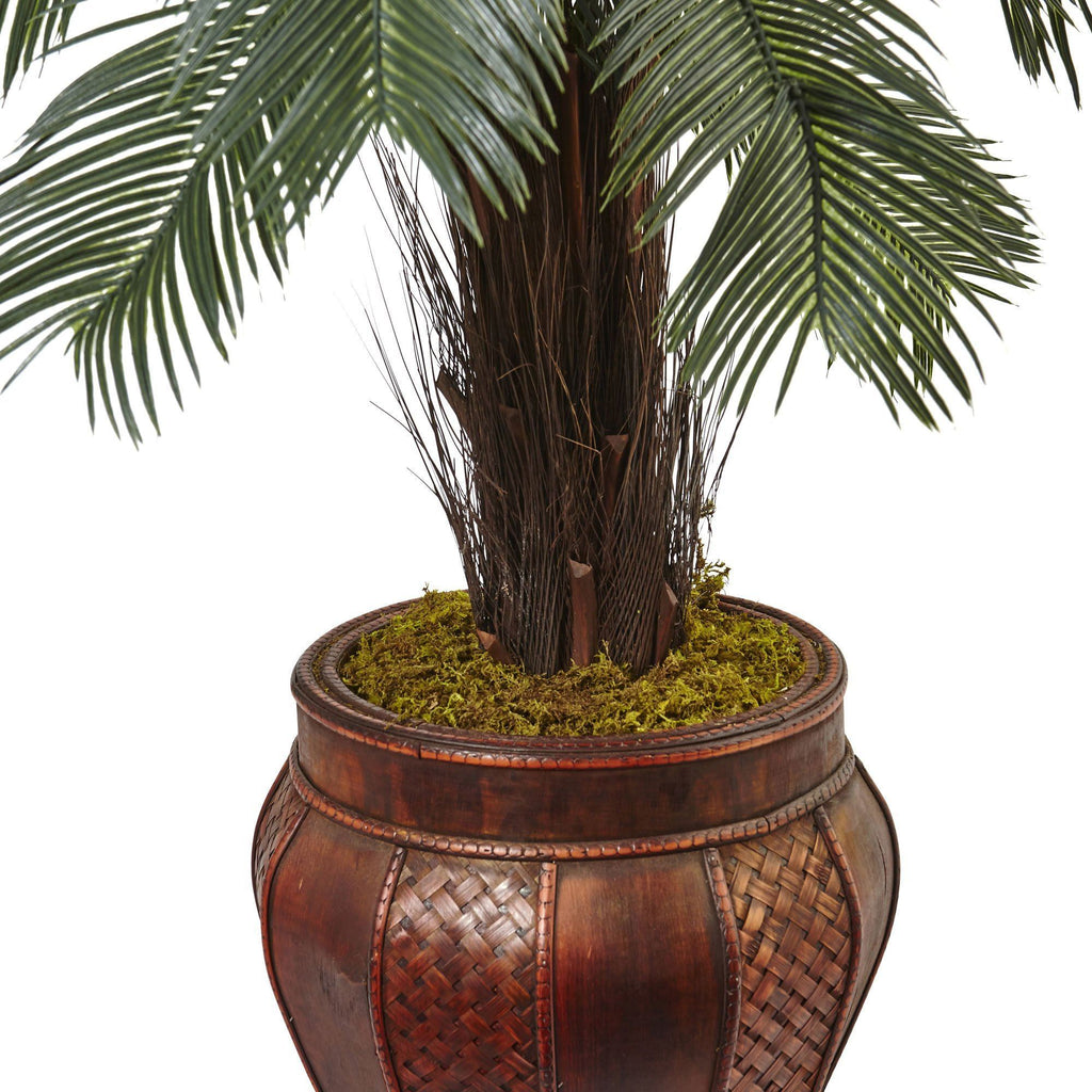 3.5’ Cycas Tree in Wood Planter
