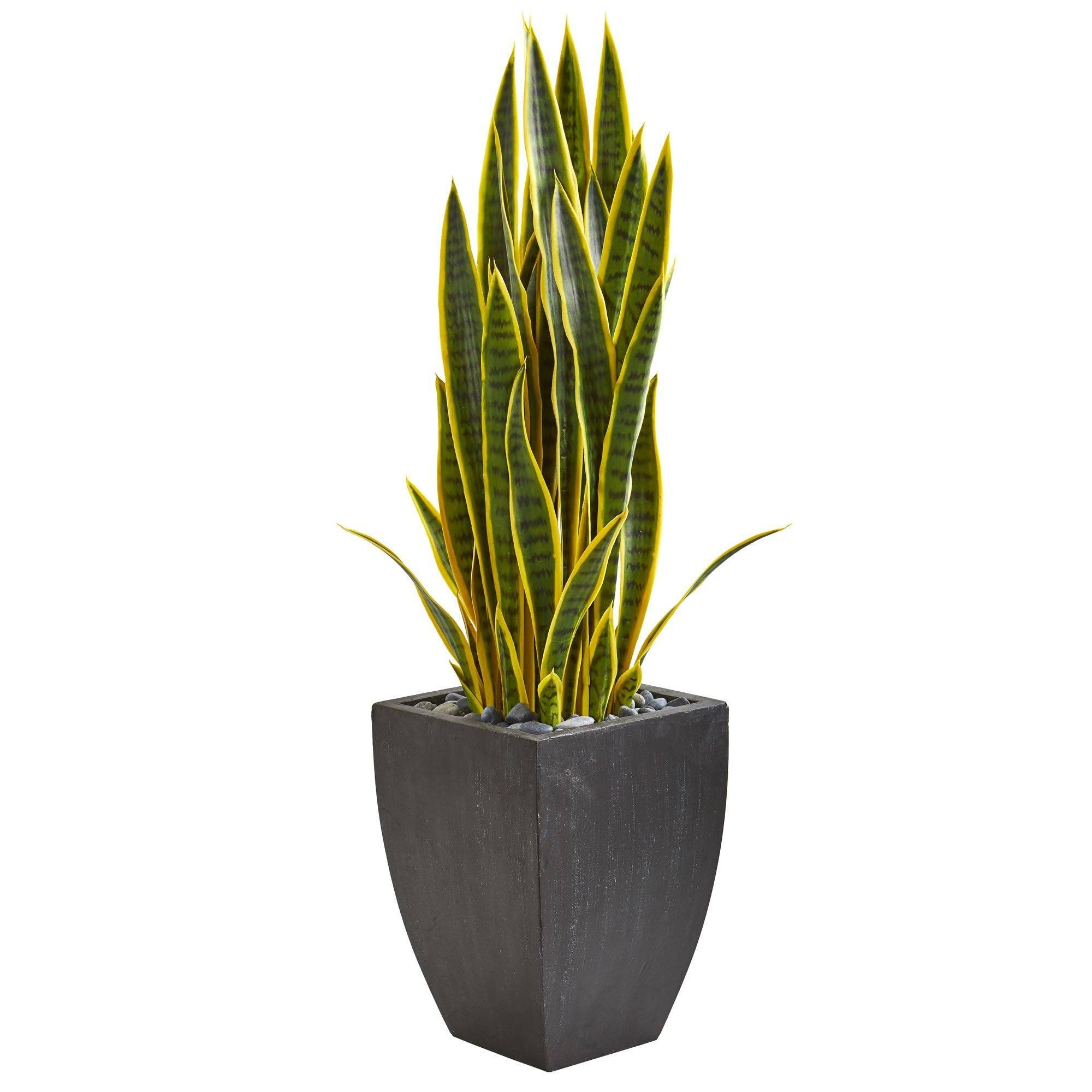 3.5’ Sansevieria Artificial Plant in Black Planter