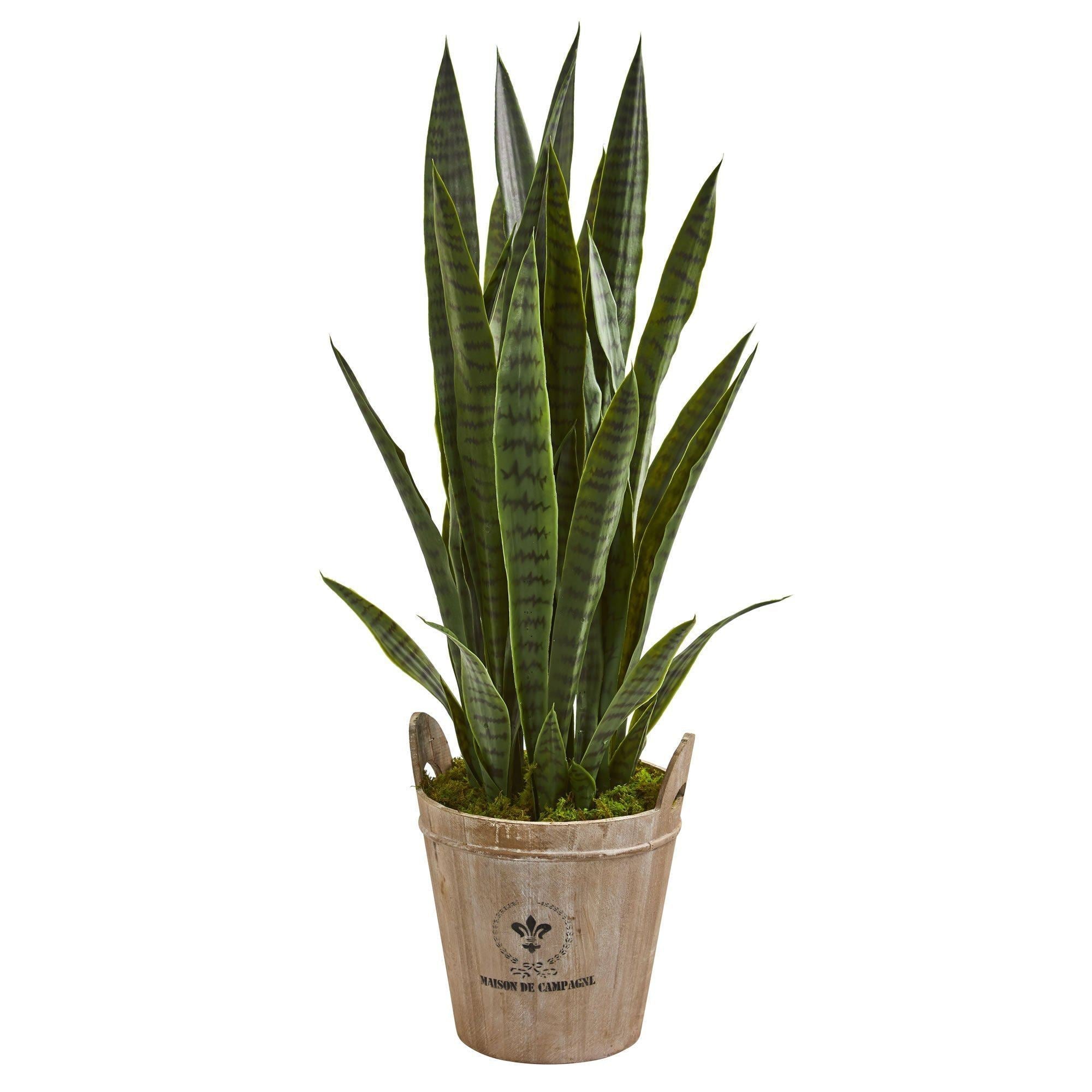 3.5’ Sansevieria Artificial Plant in Farmhouse Planter