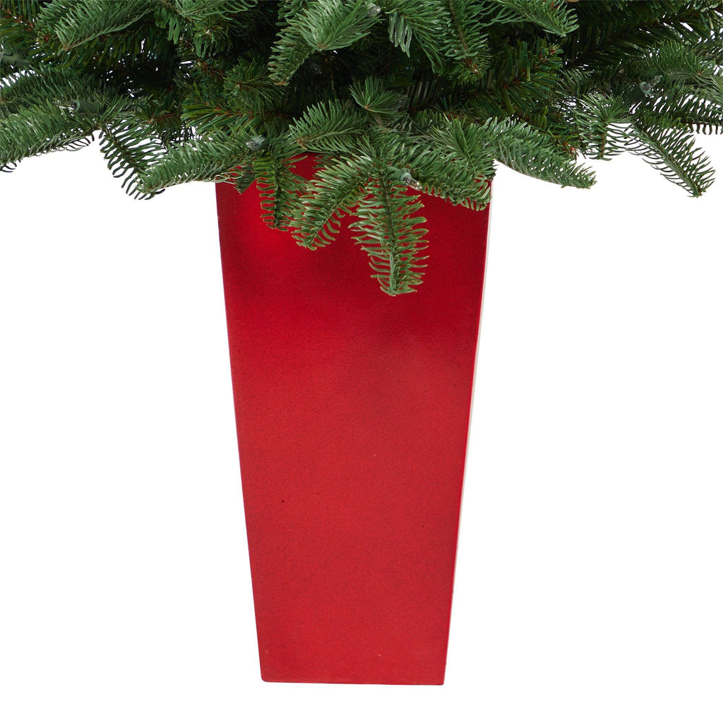 3.5’ South Carolina Spruce Artificial Christmas Tree with 100 White Warm Light and 458 Bendable Branches in Red Planter