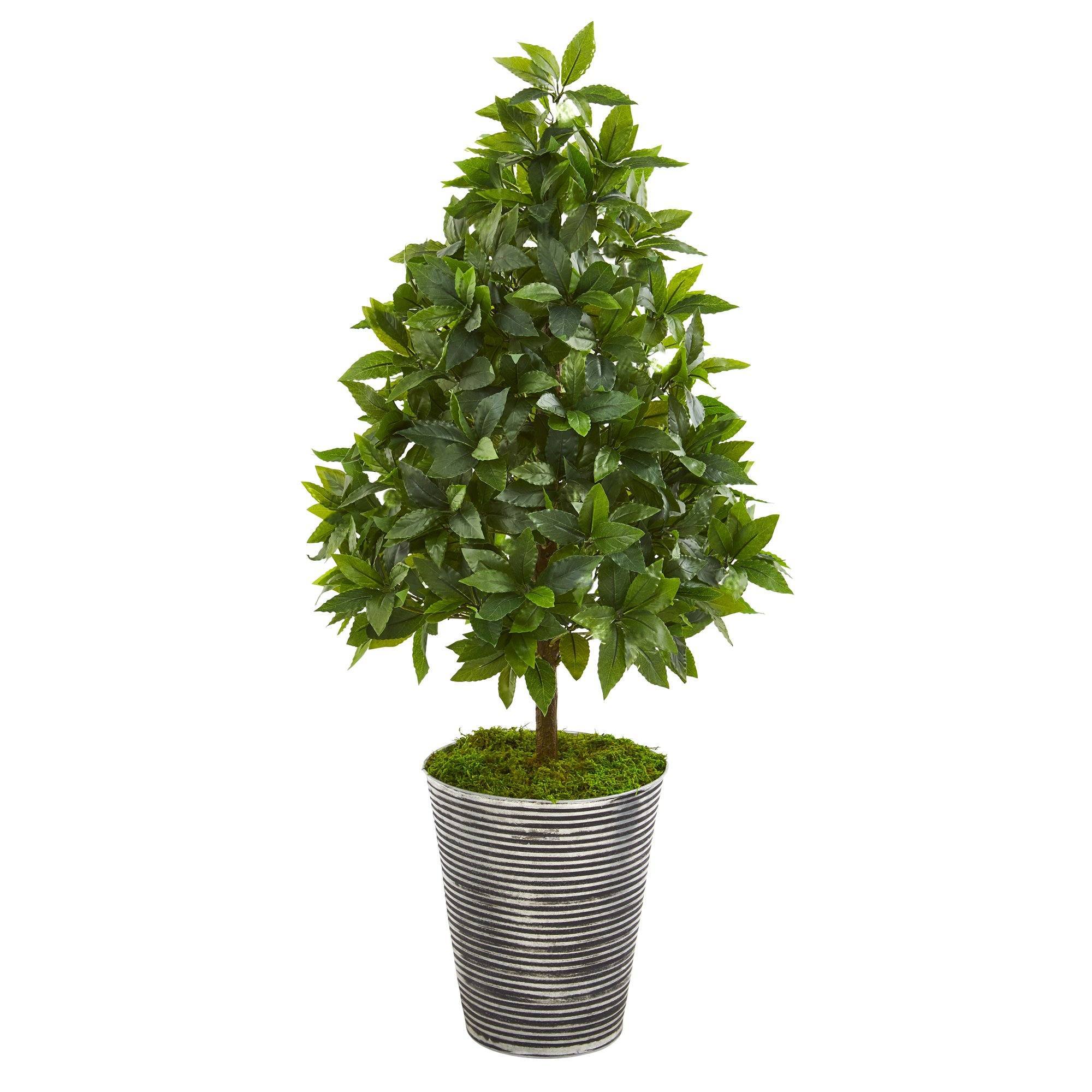 35” Sweet Bay Cone Topiary Artificial Tree in Tin Planter