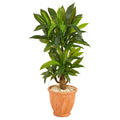38” Corn Stalk Dracaena Artificial Plant in Terra-Cotta Planter (Real Touch)