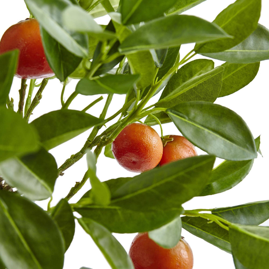 38'' Potted Orange Tree