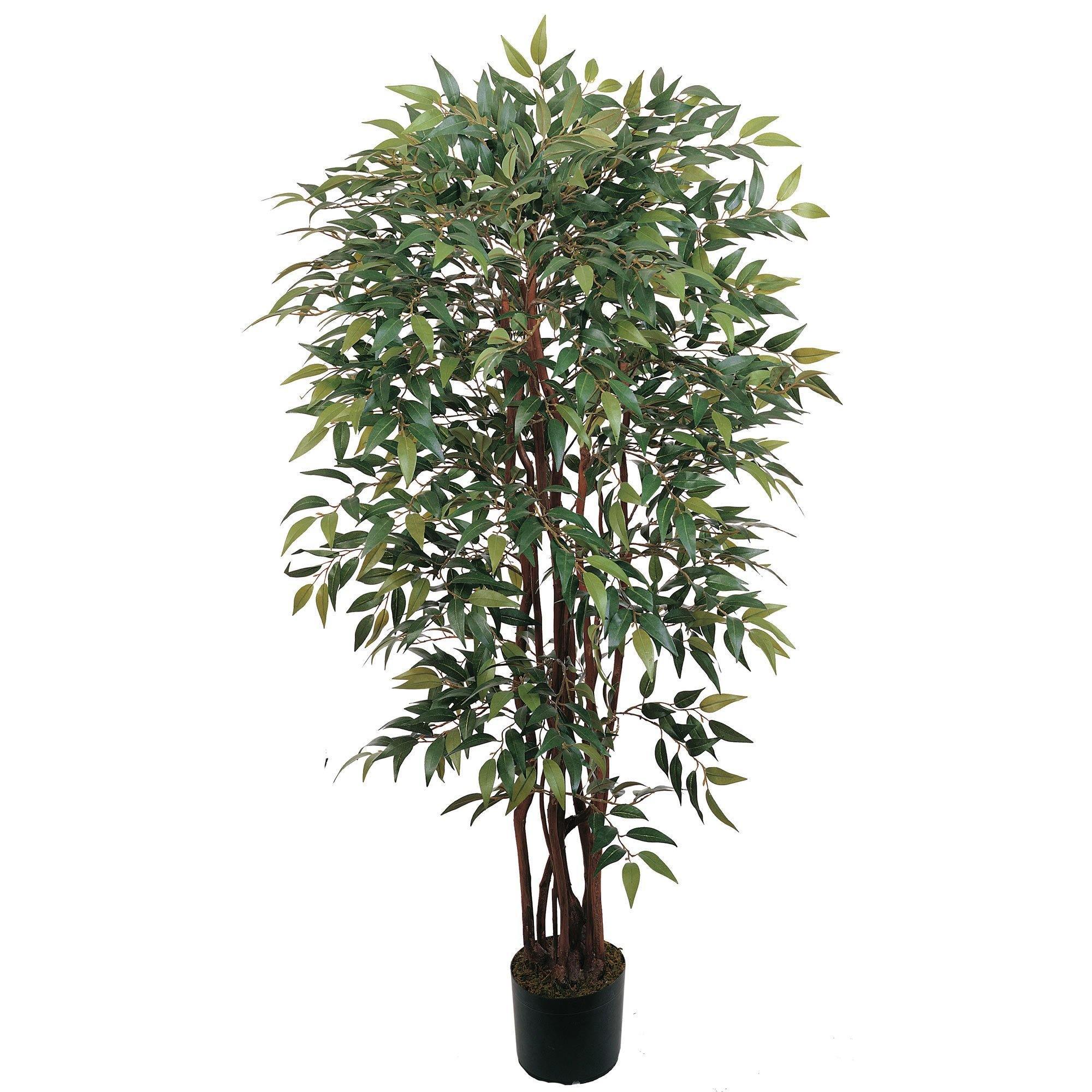 4' Smilax Silk Tree