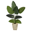 4’ Travelers Palm Artificial Tree in Country White Planter