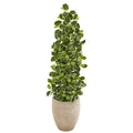 42” Variegated Holly Leaf Artificial Tree in Sand Colored Planter (Real Touch)