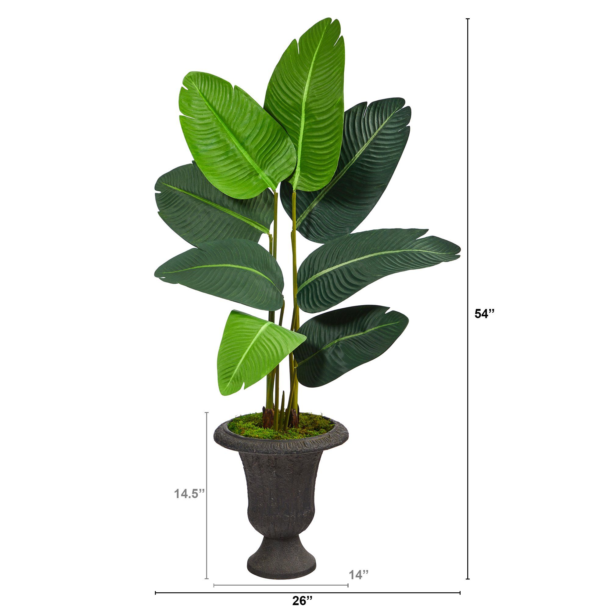4.5’ Travelers Palm Artificial Tree in Charcoal Urn