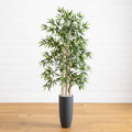 5’ Bamboo Tree in Gray Cylinder Planter