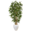 5’ Bamboo Tree in Oval White Planter