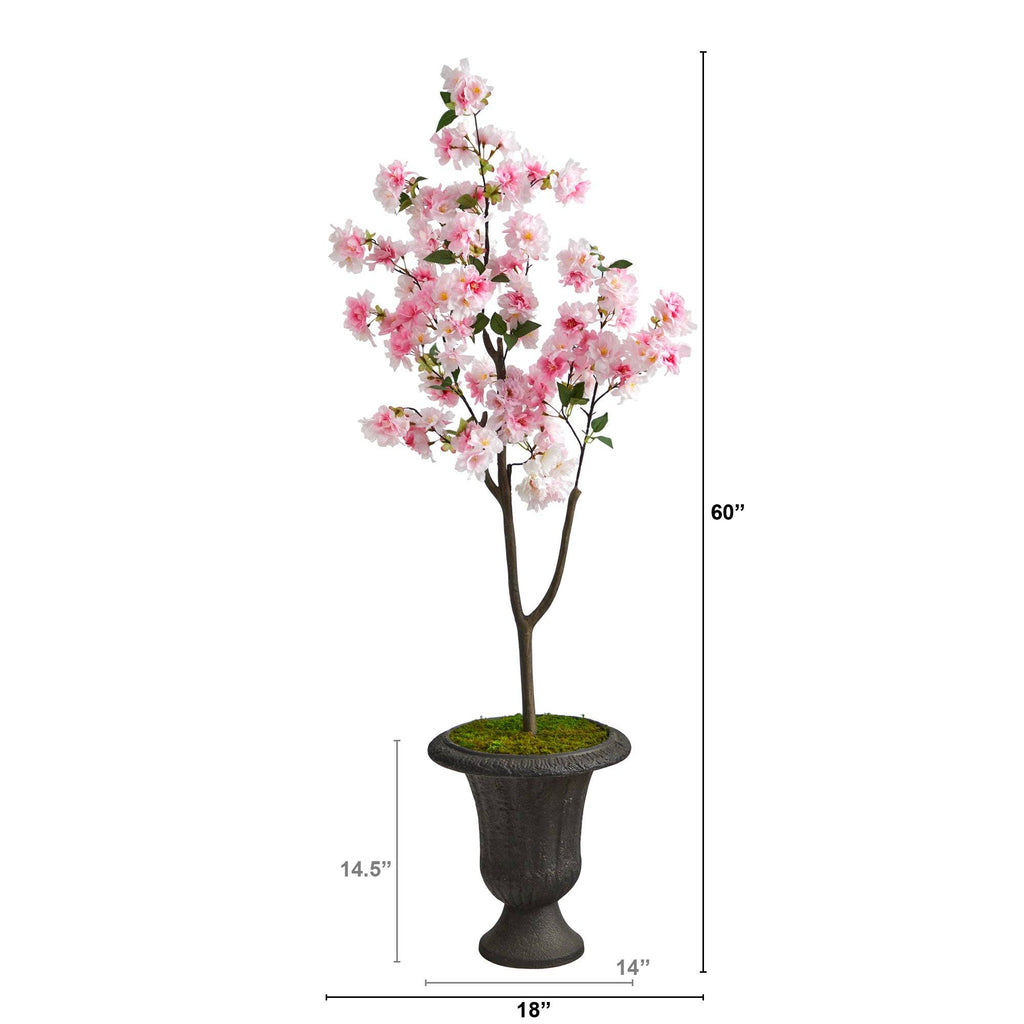5’ Cherry Blossom Tree in Charcoal Urn