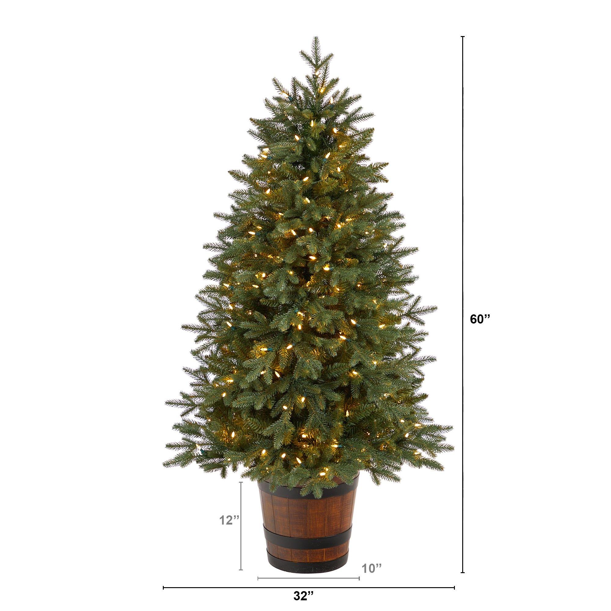 5' Colorado Aspen Pre-Lit Porch Artificial Christmas Tree