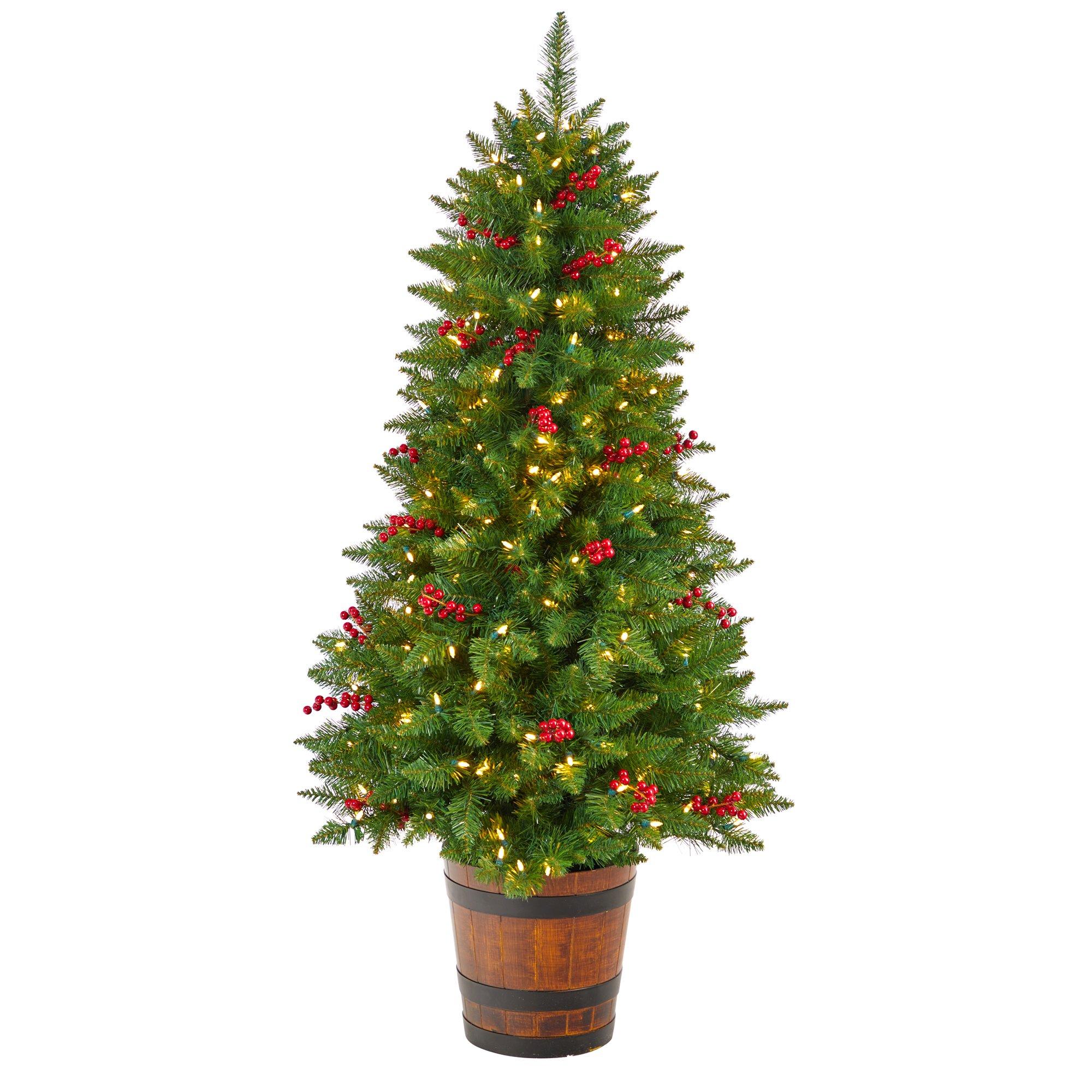 5' Colorado Aspen Pre-Lit Porch Artificial Christmas Tree