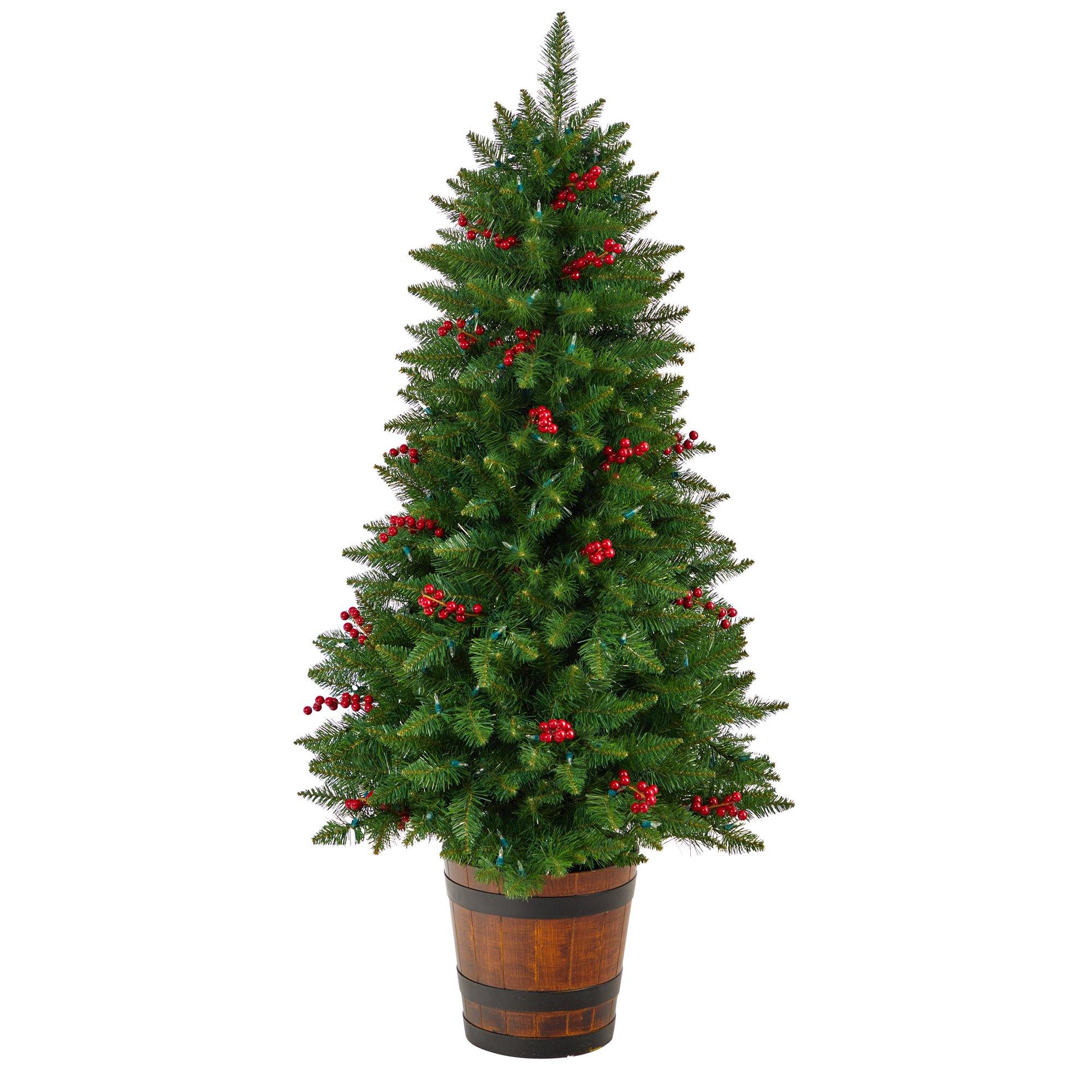 5' Colorado Aspen Pre-Lit Porch Artificial Christmas Tree