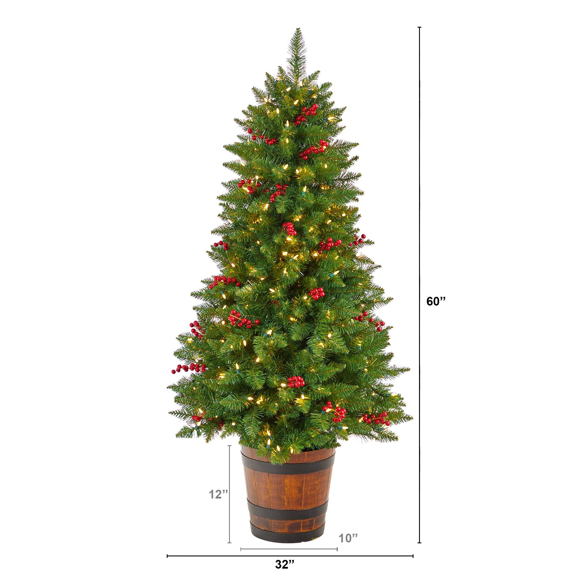 5' Colorado Aspen Pre-Lit Porch Artificial Christmas Tree
