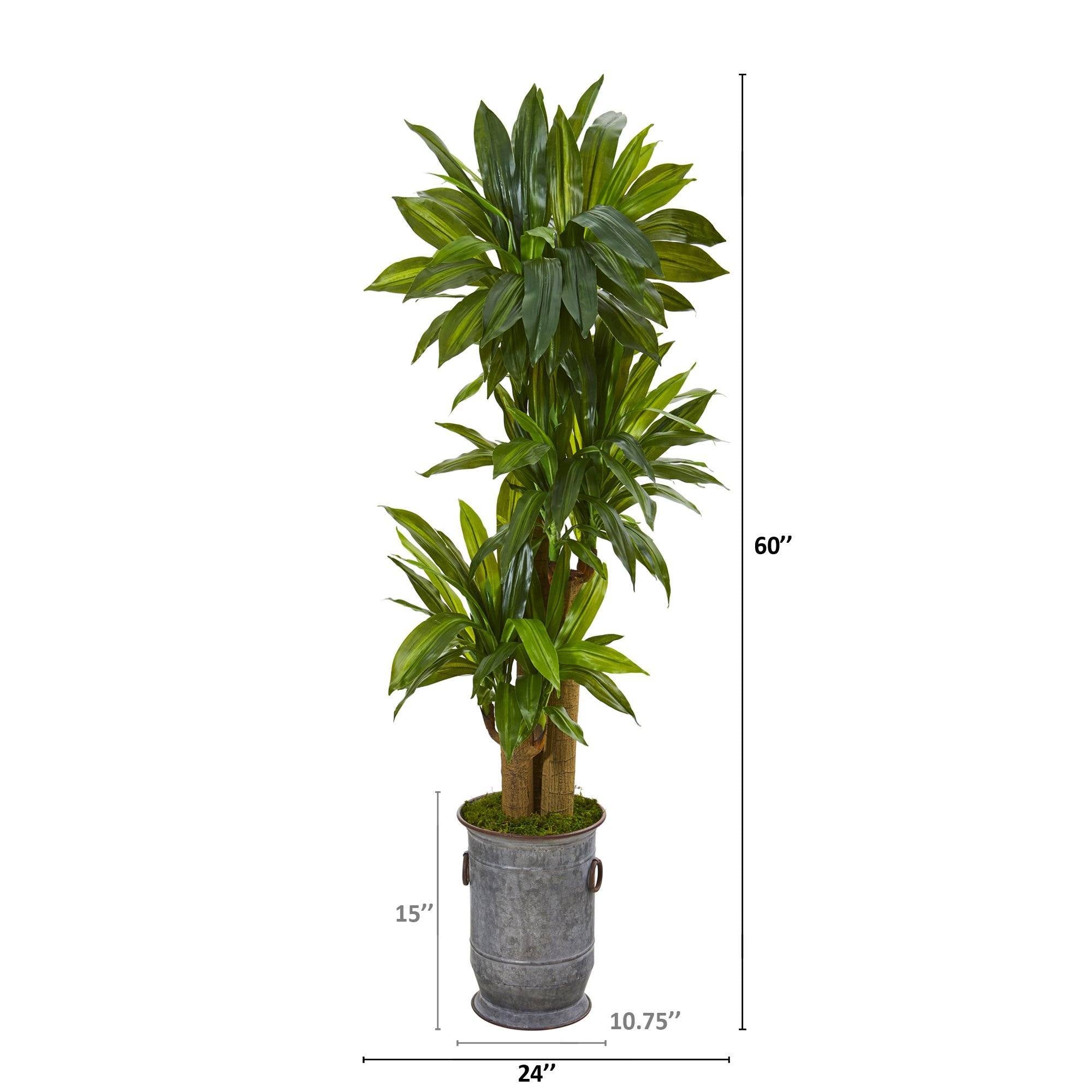 5’ Corn Stalk Dracaena Artificial Plant in Vintage Metal Planter (Real Touch)