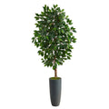 5’ Ficus Artificial Tree in Gray Planter
