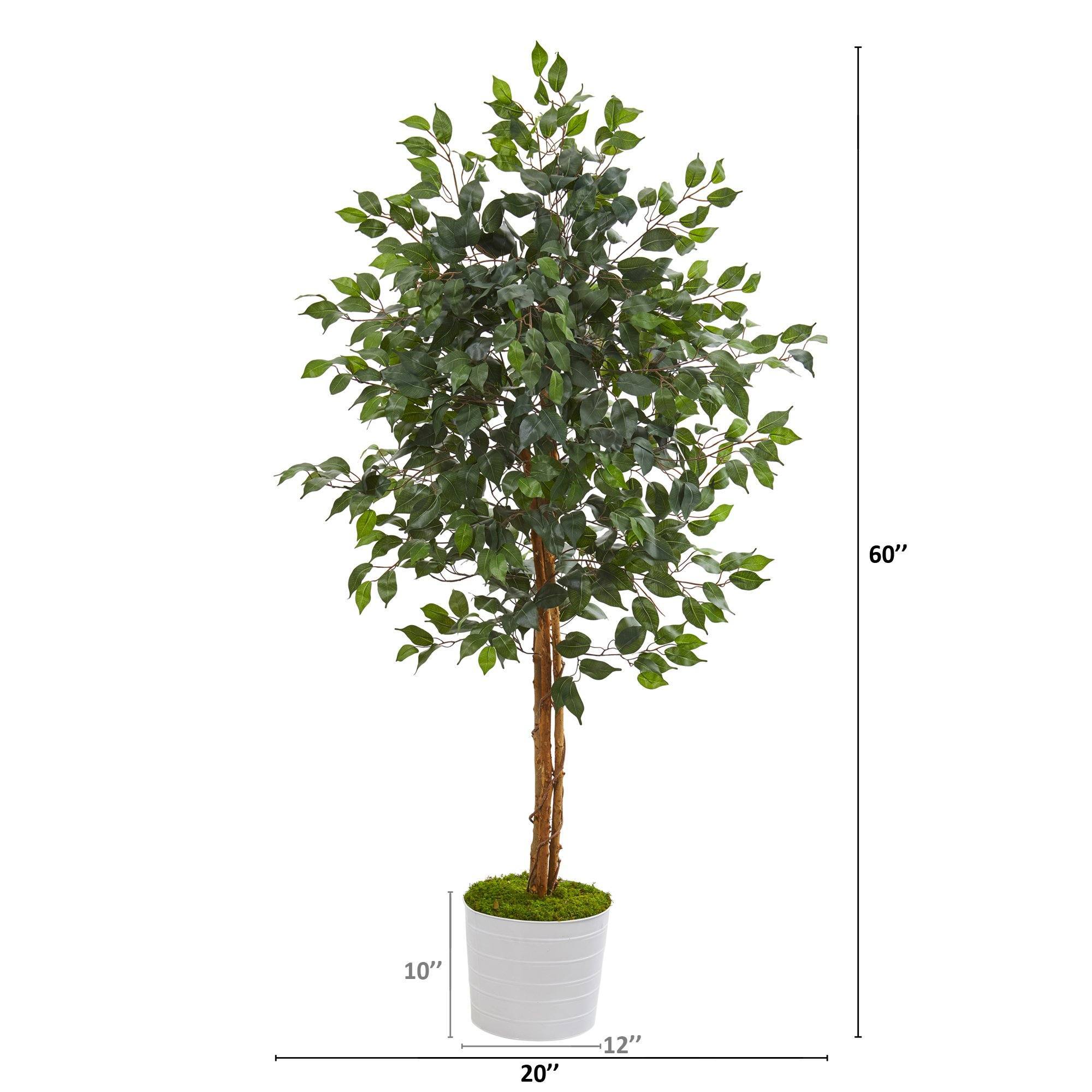 5’ Ficus Artificial Tree in White Tin Planter