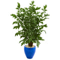 5’ Fishtail Palm Artificial Tree in Glazed Blue Planter