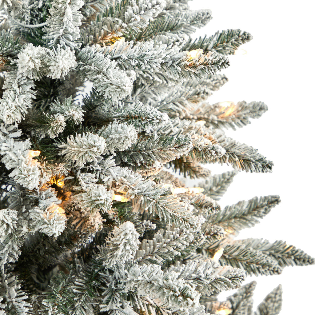 5’ Flocked West Virginia Spruce Christmas Tree with 200 Clear Lights and 604 Bendable Branches