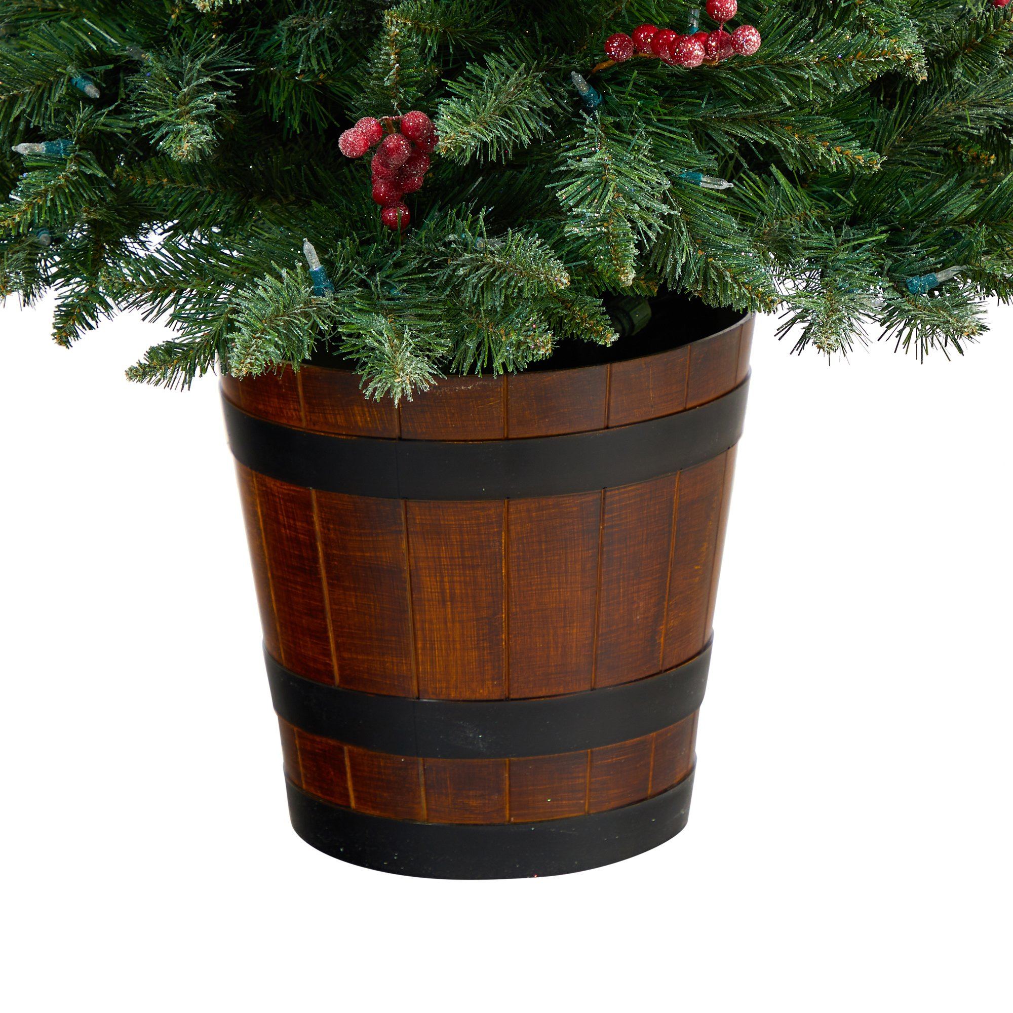 5' Frosted Colorado Aspen Pre-Lit Porch Artificial Christmas Tree